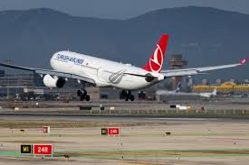 Turkish Airlines denies Tehran flight cancellations, says services running as planned