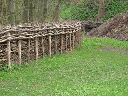 images?q=tbn:ANd9GcQkI7ucYExOlnn01TRZzMsNaQkRR21uAmPIUfQ3Jeu-ODt_6V6v