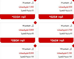 صورة باقة فليكس 30 فودافون