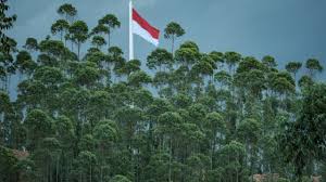 EMSC: Tsunami warning issued after earthquake strikes Indonesia