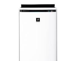 SHARP KIPX100 air purifierの画像