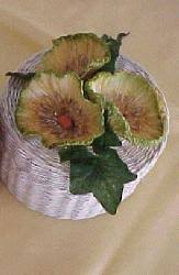 Image result for hedge apples