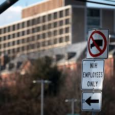 NIH Leadership Changes and Impact on Research