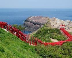 山口県の元乃隅稲成神社の画像