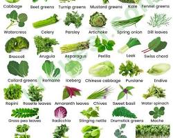 Image of Green Leafy Vegetables