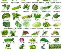 Leafy green vegetables