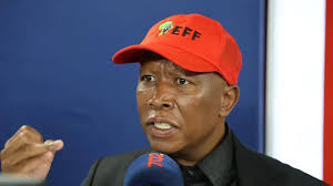 Eff Malema Defamation Claim Mchunu : ce qu'il faut savoir