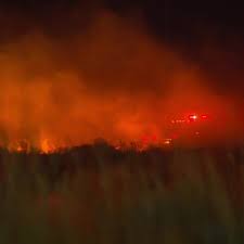 FOX 13 News Utah - News update