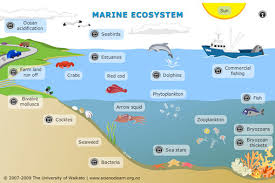 Image result for organisms and their environment