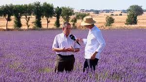 Telemadrid - News update