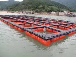 Image result for Fish cages