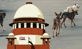 Live Law - News update