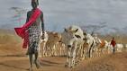 Pastoralism