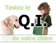 Tester l'intelligence de son chat