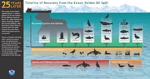 Image result for "Exxon Valdez"