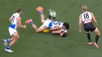 Jimmy Bartel criticises MRO for 'punishing' players in the name of AFL's 'past mishandling of concussion'