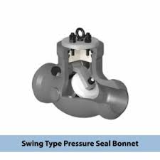 Check Valve – Turcomp