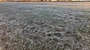 Frosty start to Sunday for Flying Pig Marathon