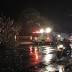 Woman in critical condition after tree crashes onto bus stop near Ala ...
