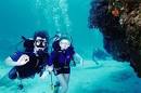 Online dive certification