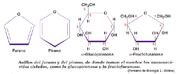 Resultado de imagen para dihidroxiacetona 3d