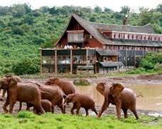 Image of Aberdare National Park Kenya