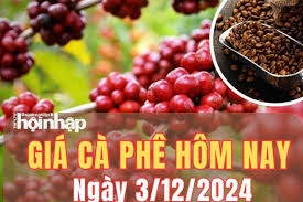 Giá cà phê hôm nay 3/12/2024: Giá cà phê đồng loạt giảm mạnh tại thị trường trong nước và thế giới