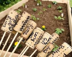 Image of DIY herb markers