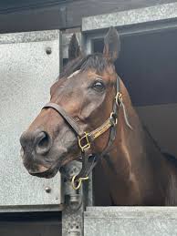 Becky Smith (@beckysmith360) | TikTok