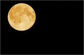 Image result for 추석