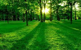 Image result for pictures gallery for amazing places of the world
