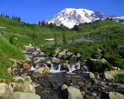 Image of Mount Rainier National Park