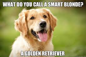 golden retriever memes | quickmeme via Relatably.com