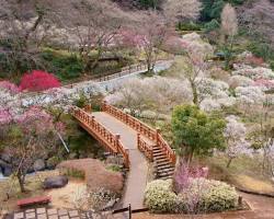 熱海梅園（AI 生成）
