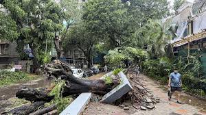 Record-breaking rain in Mumbai, Palghar and Raigad; 13 killed in last 3-4 days: Maharashtra Minister | Monsoon LIVE updates
