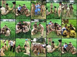 Image result for Tree plantation