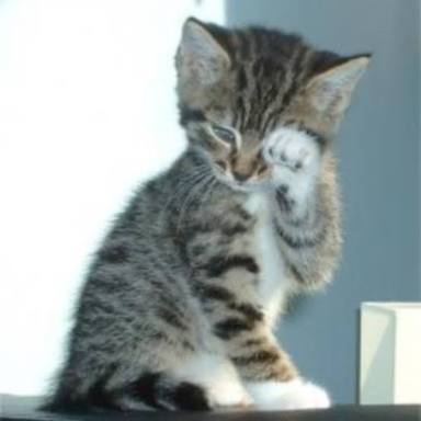 images?q=tbn:ANd9GcQlutM6J009JJwHlxbXJVh7DAl3dNolHFfVqpxVm0PbNnzU1Dd13649idA_