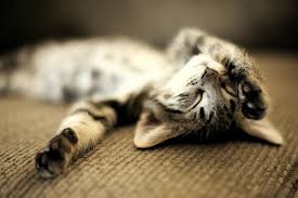 Image result for exhausted