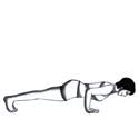 Image result for chaturanga dandasana