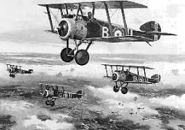 Image result for camel airplane