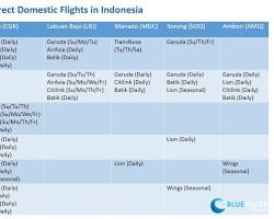 Indonesian domestic flight的圖片