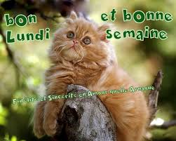 Résultat de recherche d'images pour "image bonne semaine et bon lundi"