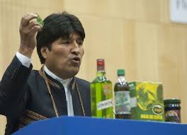 Spotlight on Bolivia: The “Coca Diplomacy” of Evo Morales | COHA via Relatably.com