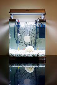 Résultat de recherche d'images pour "mac aquarium"