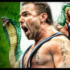 Image result for santino marella