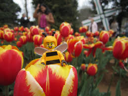 Image result for lego bumblebee girl