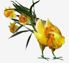 Bildergebnis für nghệ thuật cắm hoa