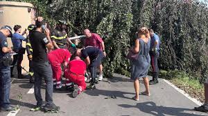 Trend Google: albero