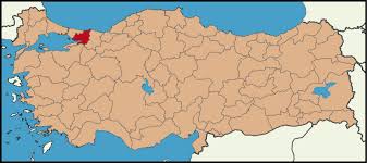 Image result for kocaeli haritası