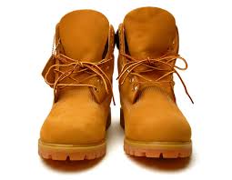 Résultat de recherche d'images pour "timbs"